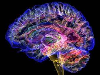 爆操高潮大脑植入物有助于严重头部损伤恢复